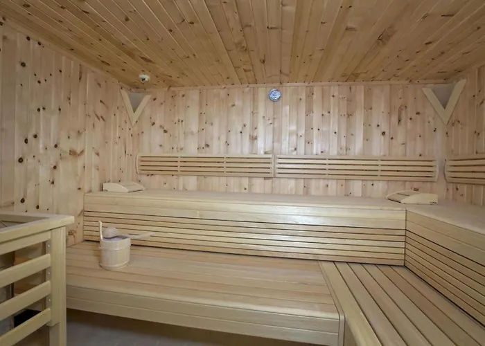 Residenz Wildkogelbahnen 3 דירה