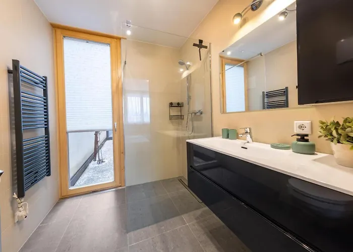 Residenz Wildkogelbahnen 3 דירה